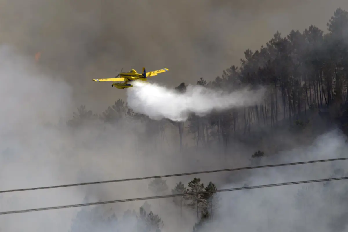 (AMP) Suben a 45 las hectáreas calcinadas en A Mezquita (Ourense) por el incendio que cruzó desde Portugal
El Parlamento de Port...