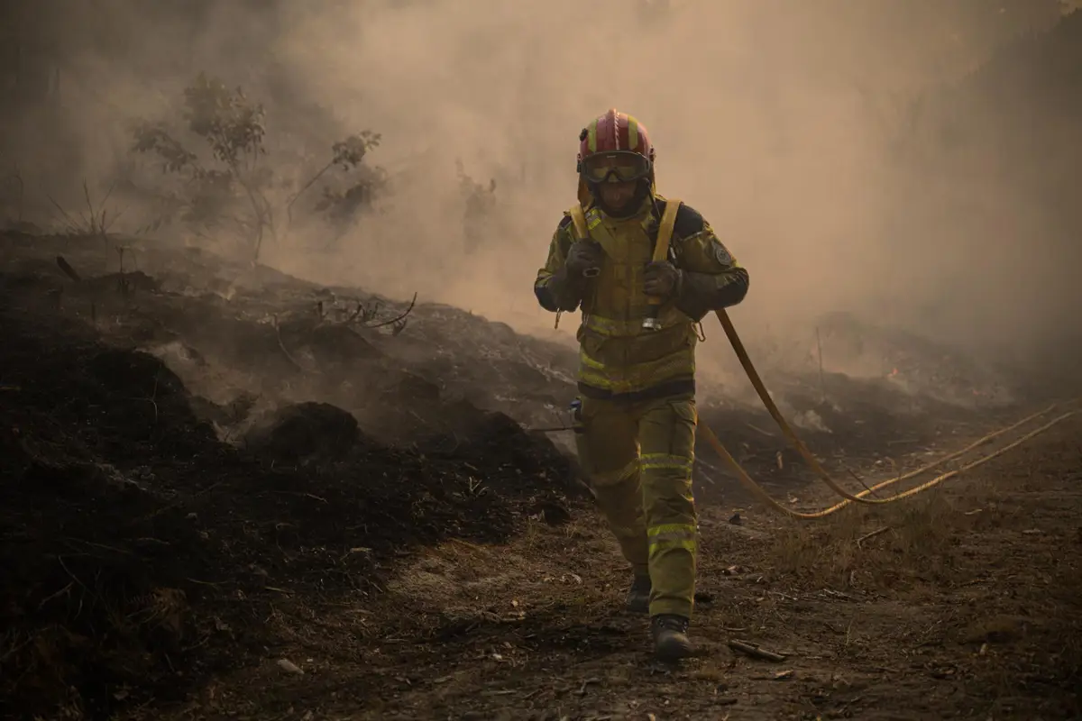 Más de un millar de bomberos combaten el incendio de Vouzela (Portugal)
TAP Air Portugal opera nuevas rutas a Curitiba, Praia, A...